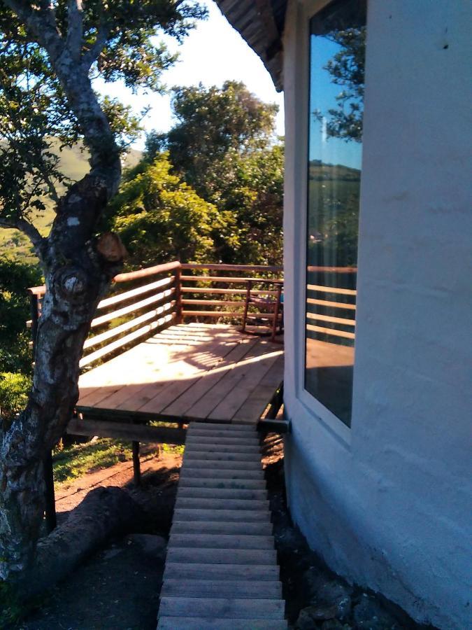Wildview Self Catering Cottages Coffee Bay, Breakfast & Wi-Fi Inc ภายนอก รูปภาพ