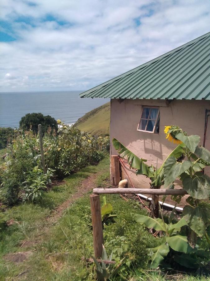 Wildview Self Catering Cottages Coffee Bay, Breakfast & Wi-Fi Inc ภายนอก รูปภาพ